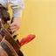 Handyman repair service in Pittsburgh, PA for home fixes and improvements